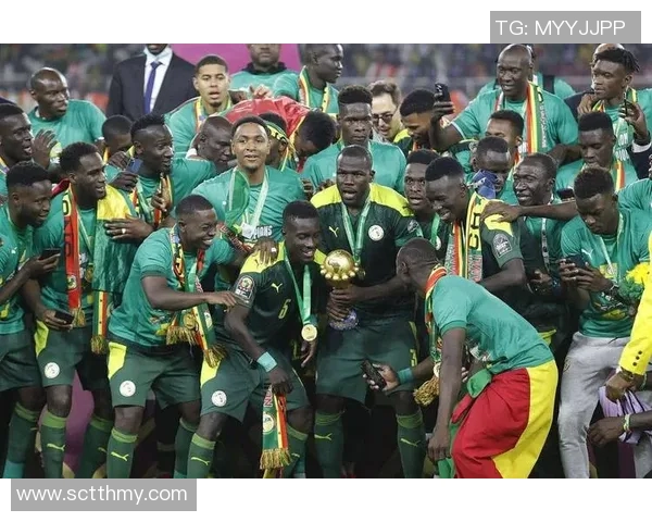 突尼斯与尼日利亚激战比分揭晓精彩赛事回顾与分析